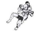 Mixed Martial Arts (MMA) Fitness class. Mixed Martial....